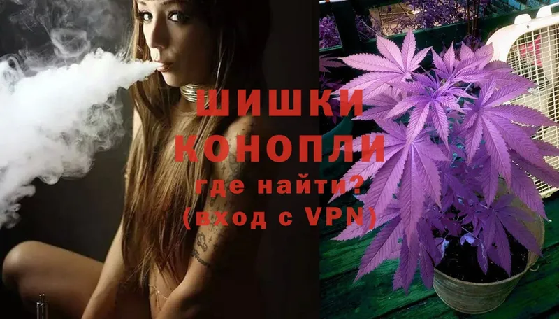 хочу наркоту  Орехово-Зуево  МАРИХУАНА White Widow 